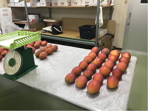 収穫後すぐに農園から発送