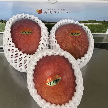 apple_gift1kg_350-350