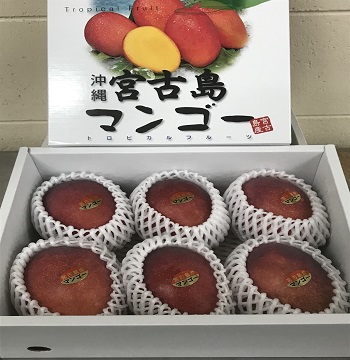 apple_gift2kg_350-350 apple_gift2kg_350-350