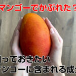 マンゴーアレルギー