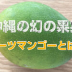 キーツマンゴー