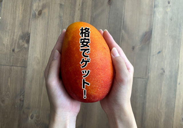 格安マンゴー