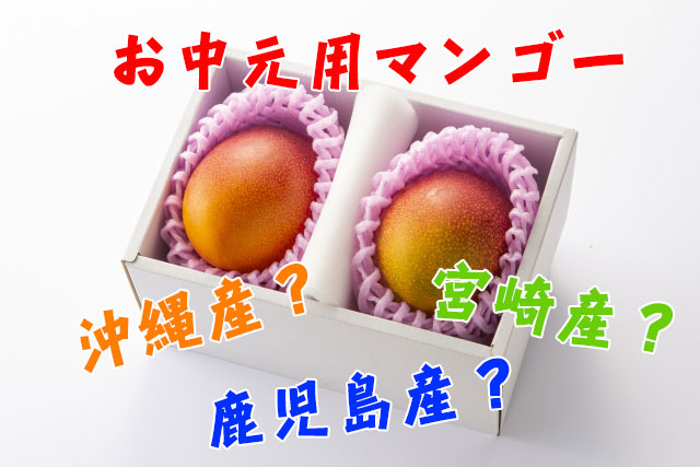 お中元なら沖縄宮古島産完熟マンゴーがおすすめ【マンゴー屋さん】