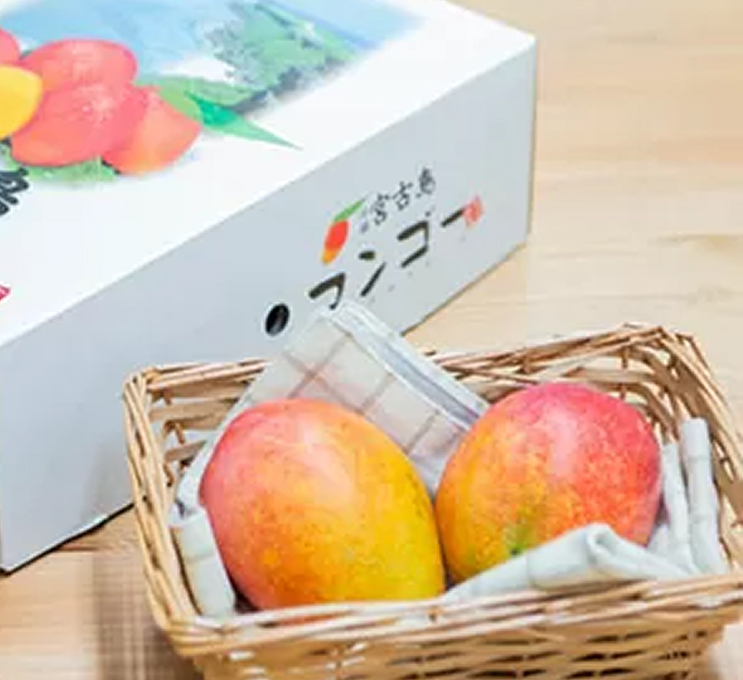 お手頃価格