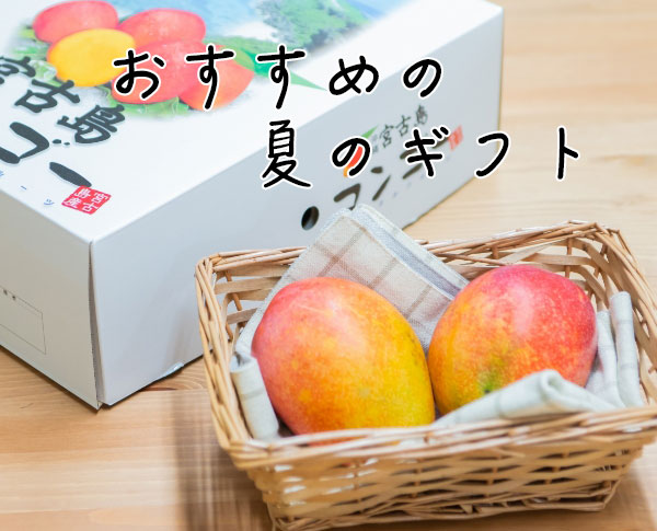 【贈り物】夏のギフトにおすすめ！沖縄県宮古島のアップルマンゴー